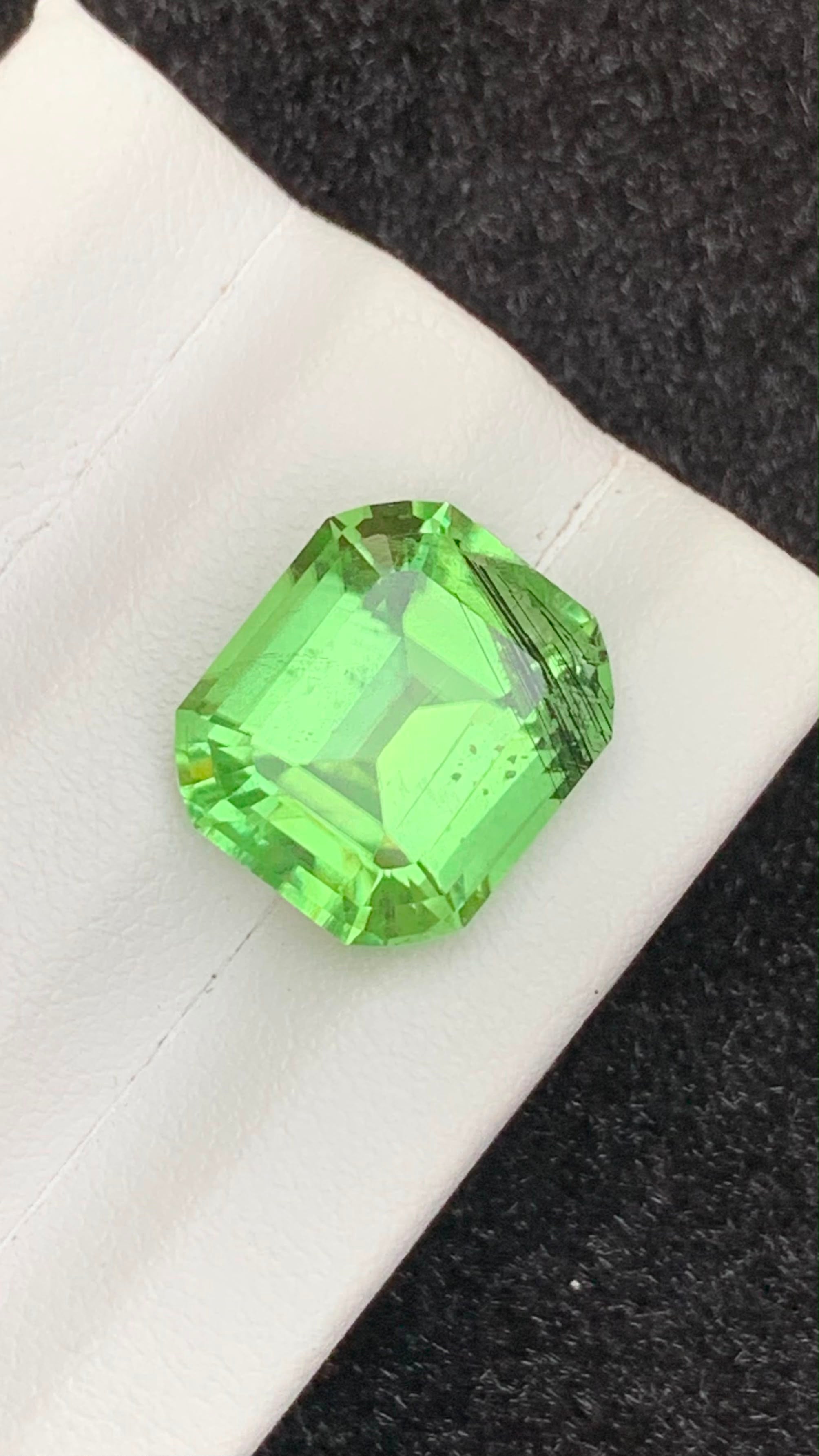 12x11mm Rare Ludwigite Included Peridot - Supat- Pakistan