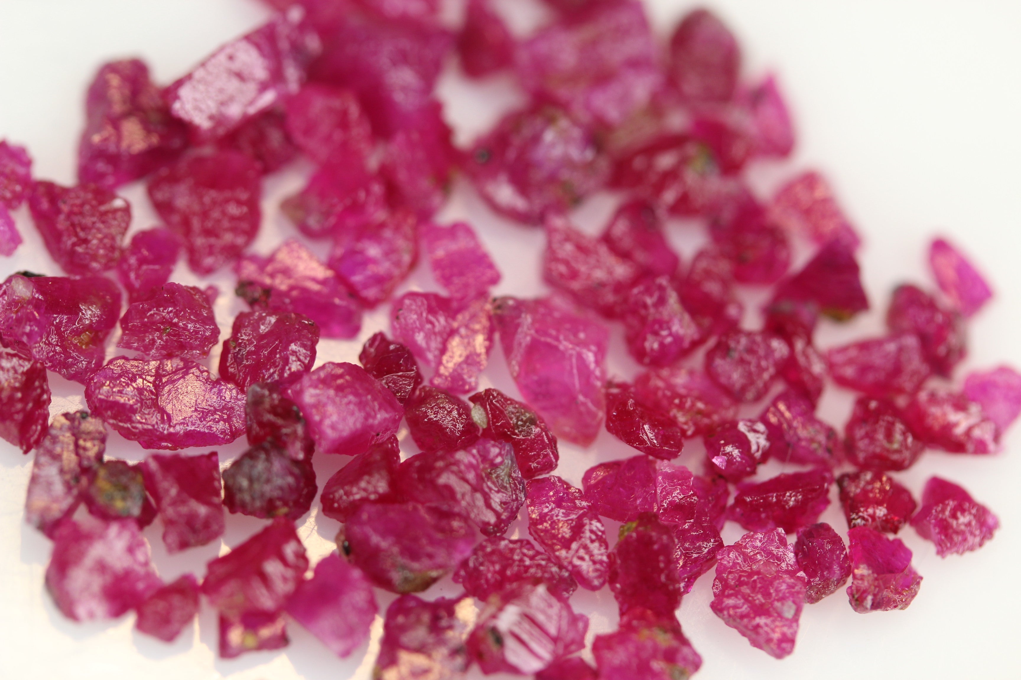 Pigeon Blood Raw Kashmir Rubies for Sale