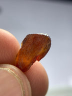 Rare Triplite Gemstone Value explore here